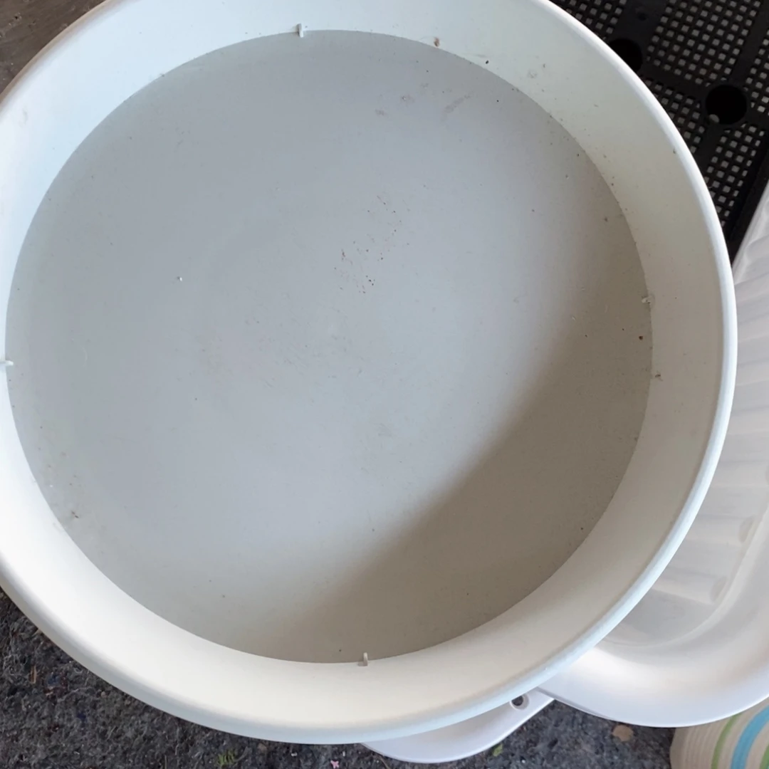 N****赵10个2口果绿托盘