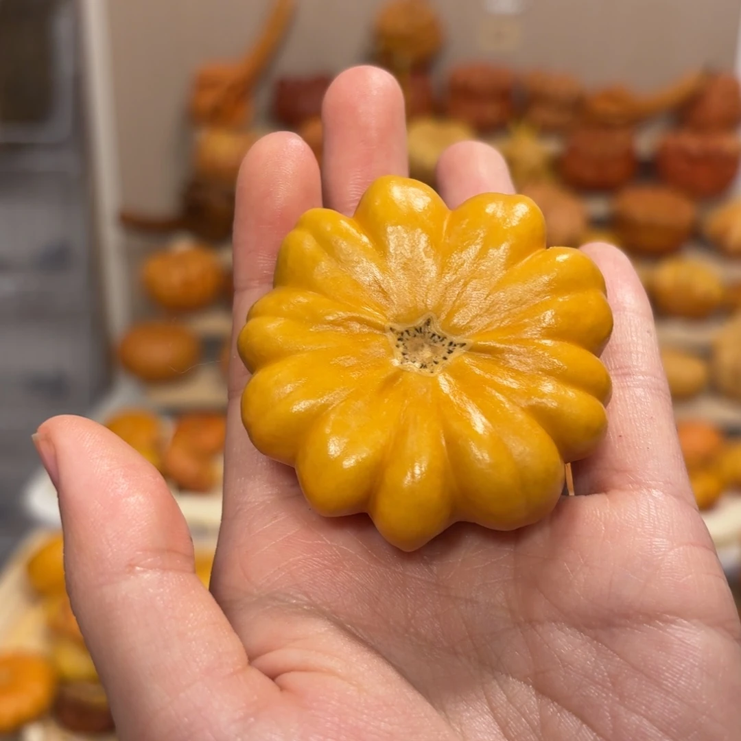 俏色花墨西哥葫芦