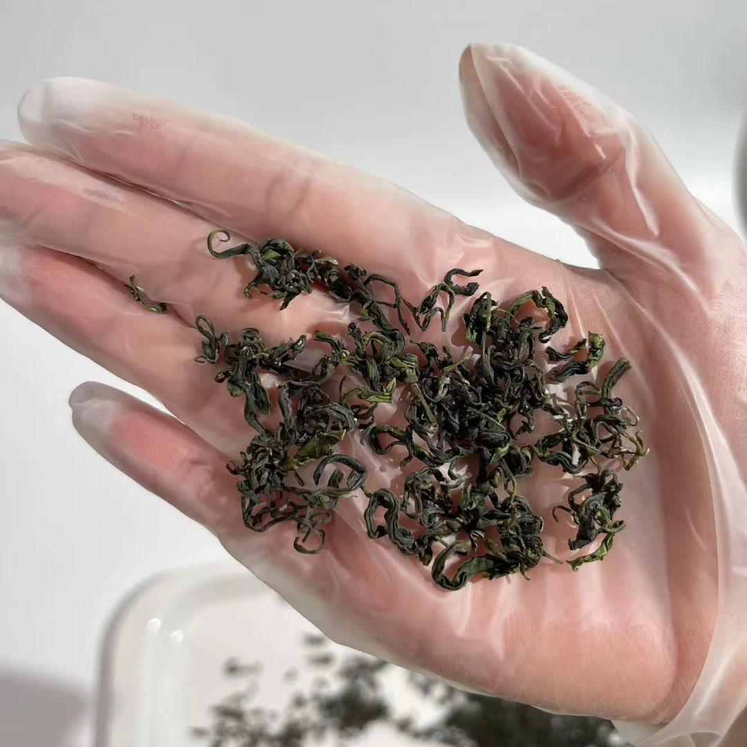 雲松山日照绿茶2024年晚秋一芽两叶浓香型板栗香