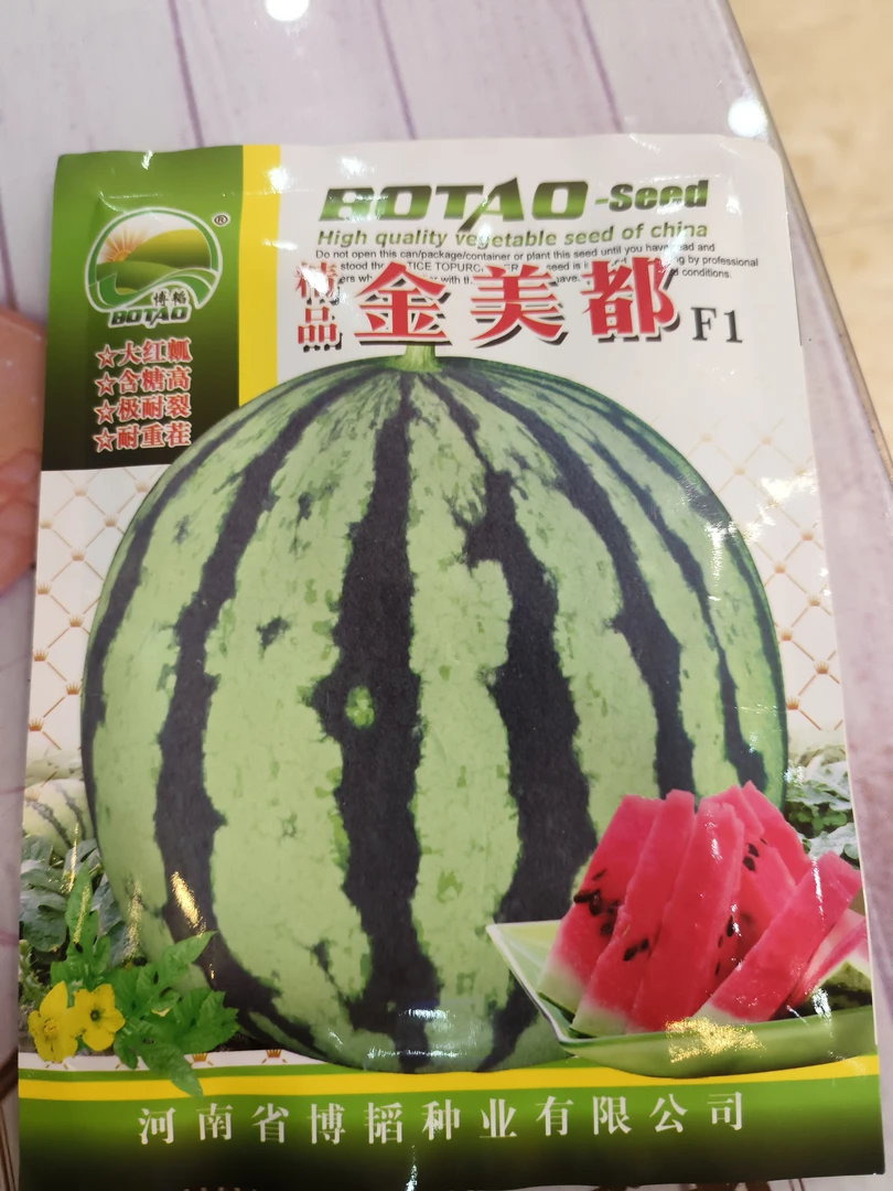 西瓜种子精品金美都