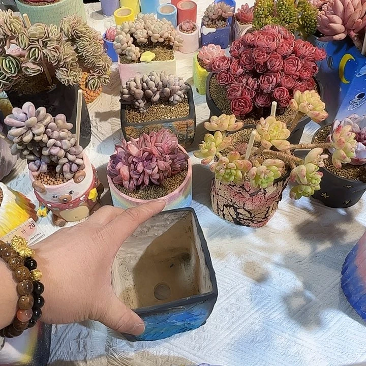 红陶大**～和弟弟你弟弟那得看