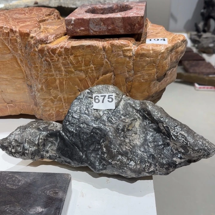 111111111鑫*11111111