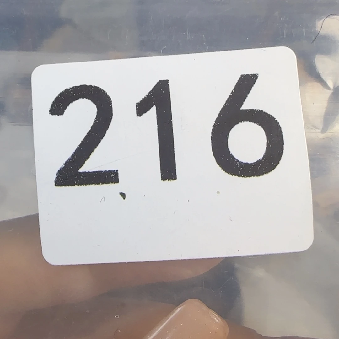 新号开播福利多多