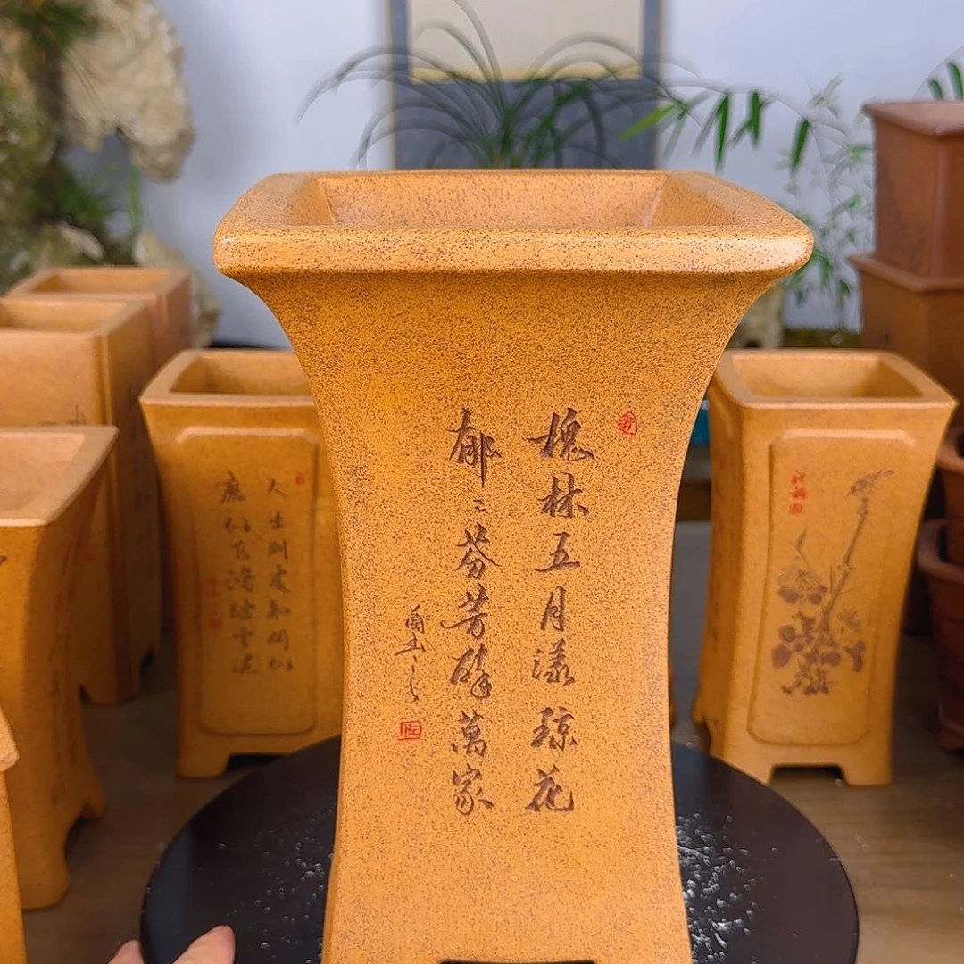 紫砂花盆澤*紫砂花盆