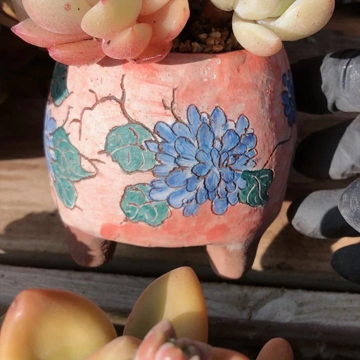 【闪购商品】小****～小婕