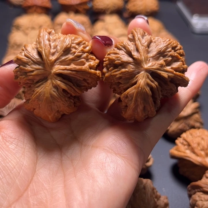 白狮子牛角核桃哈哈哈哈哈哈