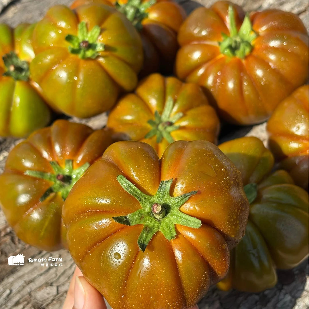 【顺丰京东】Butter Tomato奶油牛排番茄马蹄非转基西红柿番茄