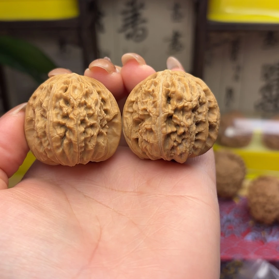 白狮子头三十七尺