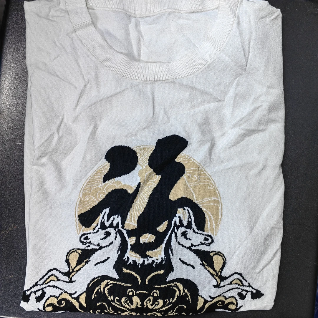 JY2205-55 大厂高品质男装针织衫 21号箱