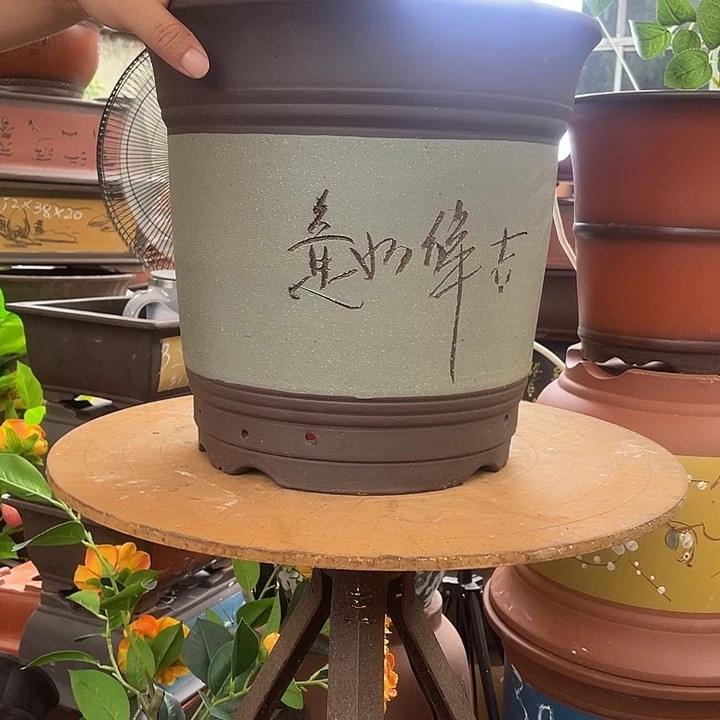 绿色高栏31花盆紫砂花盆紫砂花盆