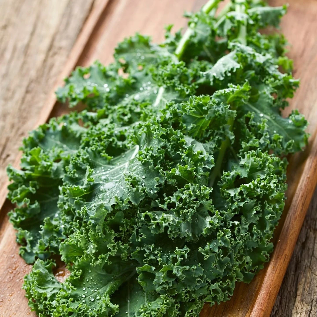 【新鲜】羽衣甘蓝蔬菜新鲜kale食用榨汁健身轻食配菜西餐沙拉