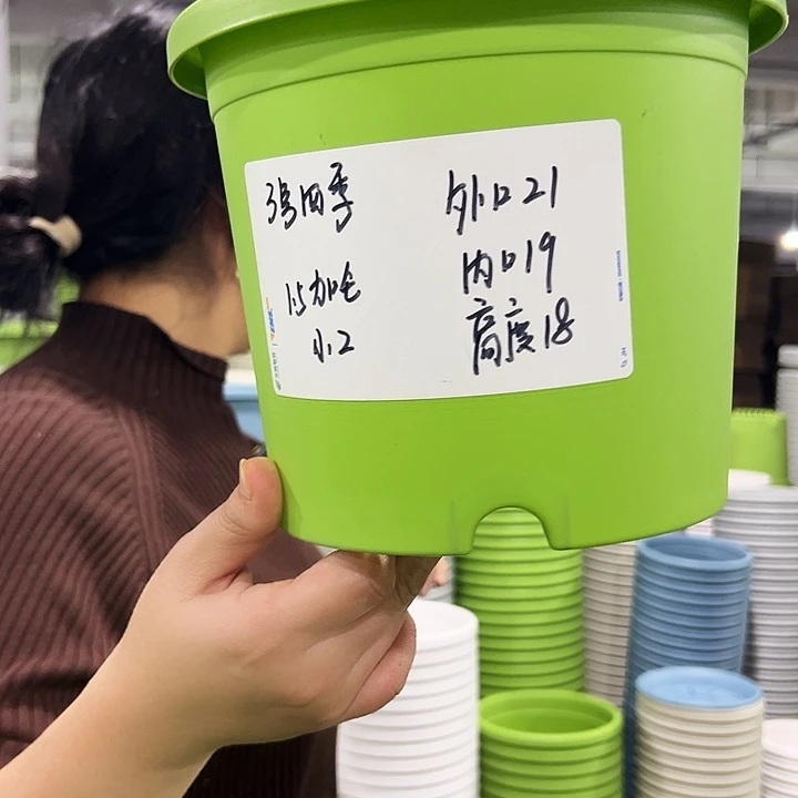 特价3号四季口21高18白色6个无托