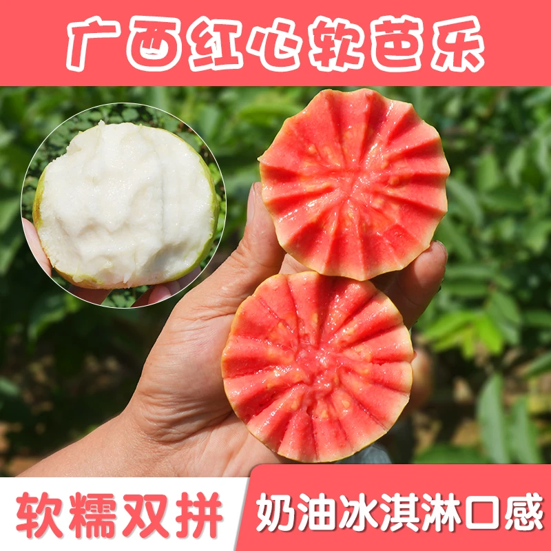 广西软糯奶油芭乐3斤5斤水果现摘当季红白心番石榴新鲜珍珠芭乐