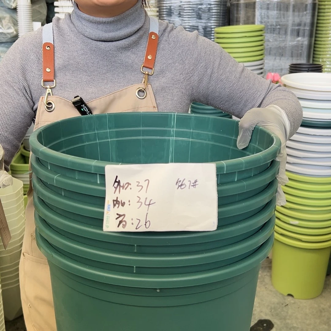 瑕疵矮胖7#墨绿色6个无托