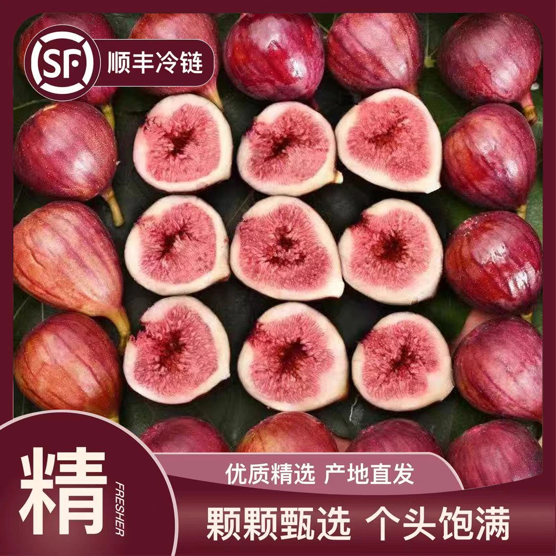 【顺丰冷链】四川新鲜无花果当季时令水果软糯香甜现摘现发鲜果包邮