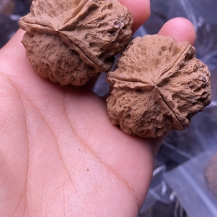 把件文玩核桃   1