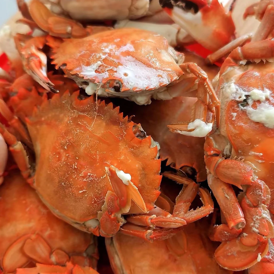 二界沟本海花盖蟹39.9四斤顺丰包邮（嫌小误拍）保鲜不保活