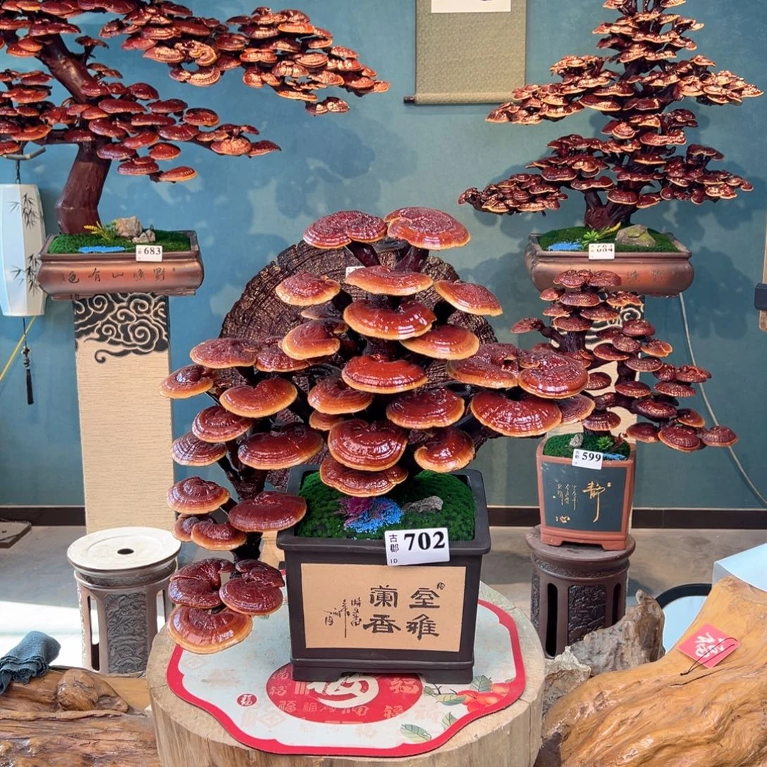 烟***冷无花朵86888888888