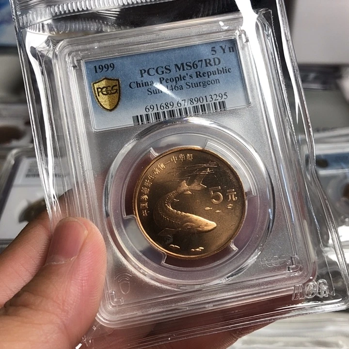 其他普通金属鲟67分
