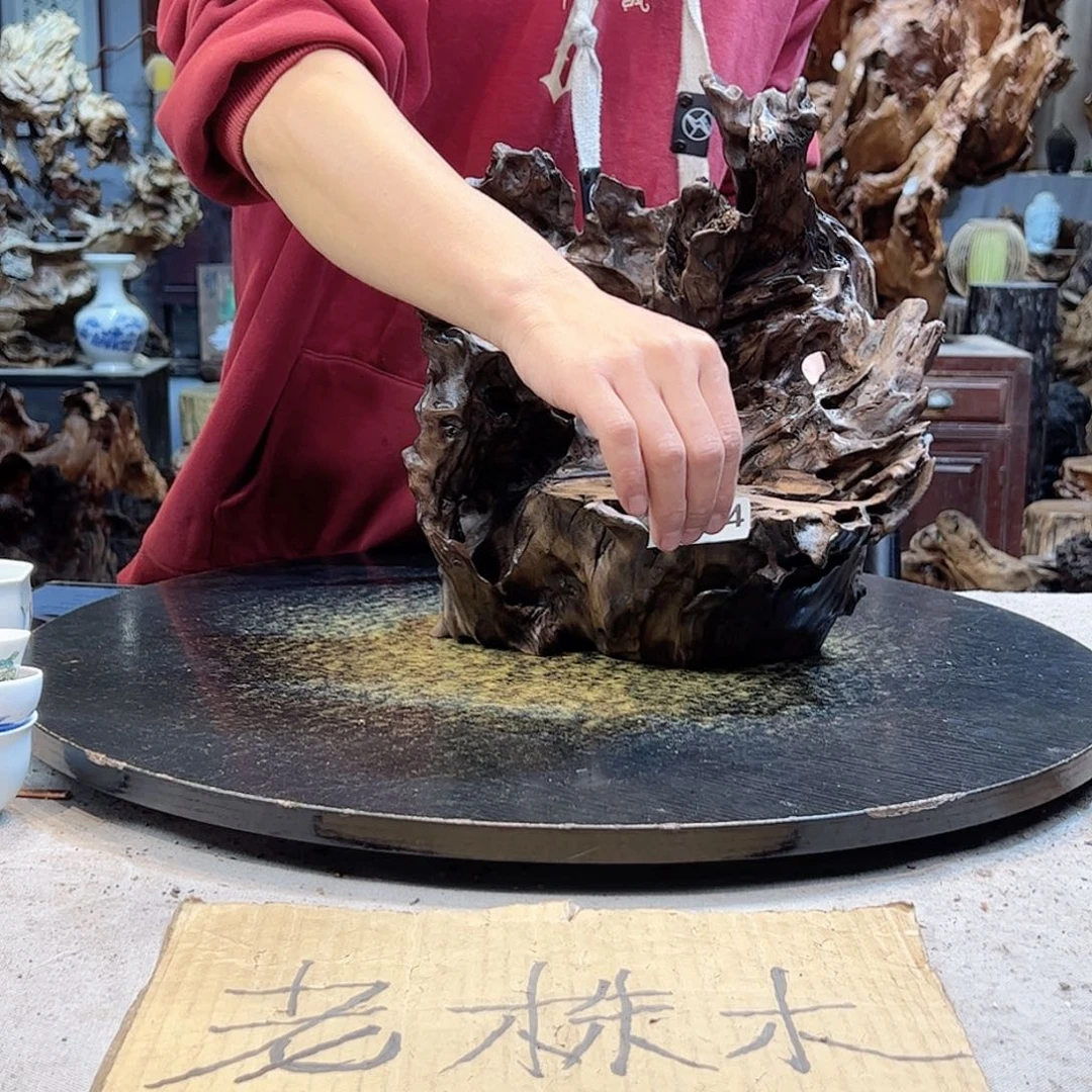 杯杉**1524文文文文文文文文文文