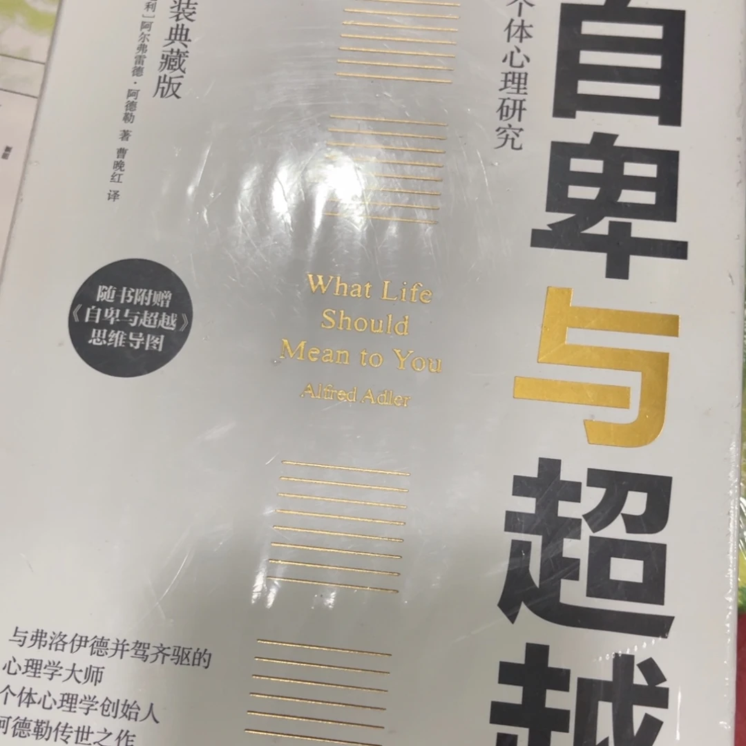 自卑与超越九米精装