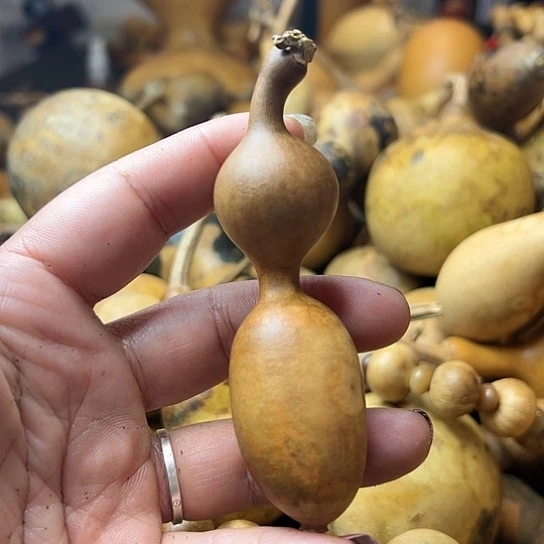 精**飘葫芦葫芦葫芦葫芦