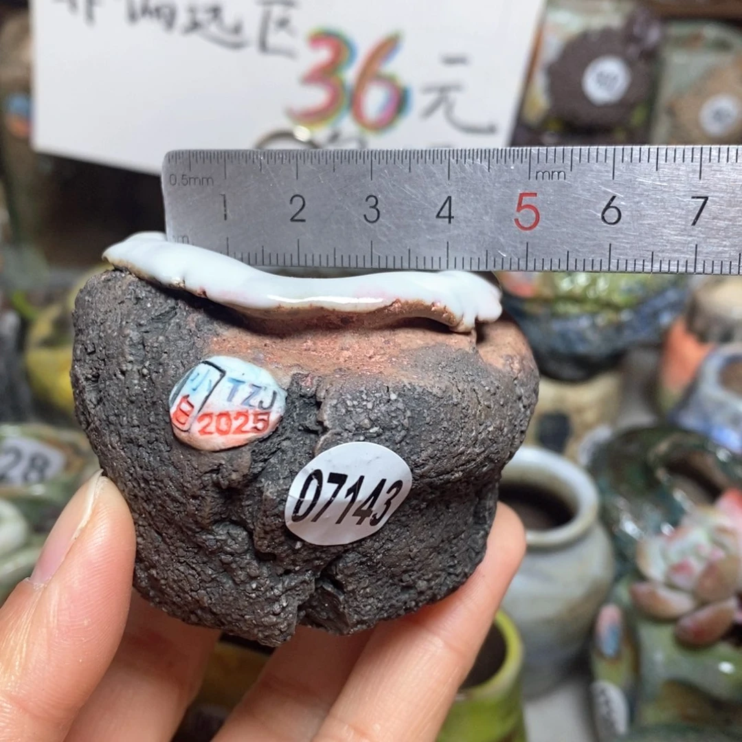 花盆拍3送一个小礼物