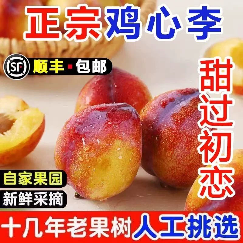 【顺丰发货】正宗东北鸡心大李子吉盛李子现摘现发当季新鲜水果