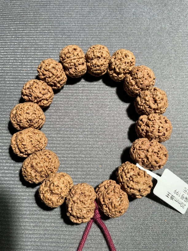 20mm蜂王编号199