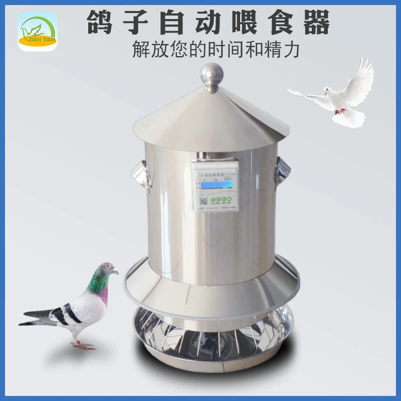 天天科技鸽子自动喂食器赛鸽信鸽不锈钢定时防撒食槽用品用具大全