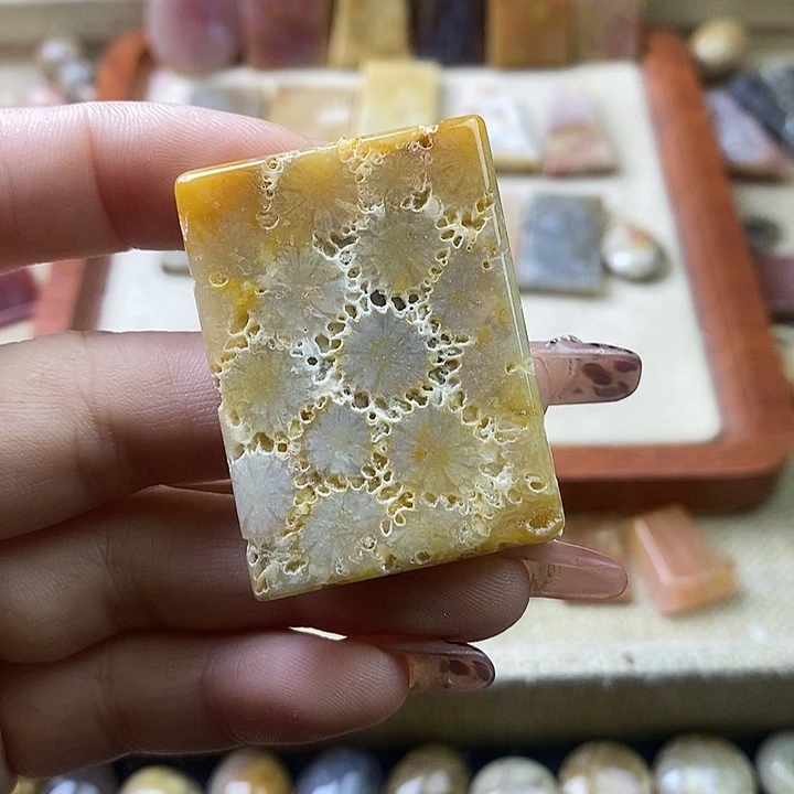 硅化珊瑚（珊瑚玉）未镶嵌颈饰