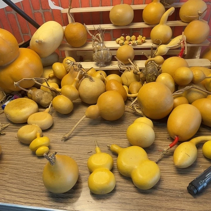 森***浅羊羔毛哈哈聚会哈哈哈哈哈哈哈