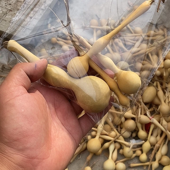 唱***V手把精品文玩葫芦