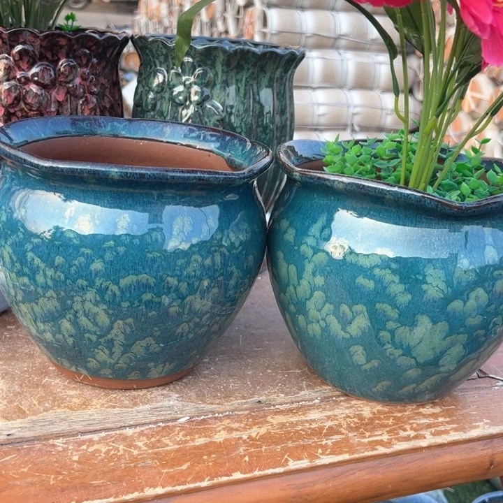 红陶口20高17。。。。。。