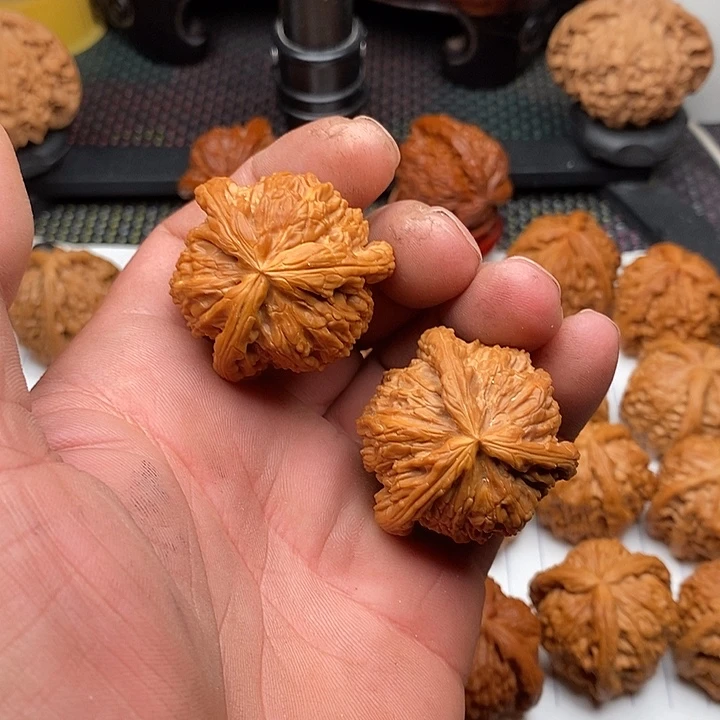 核桃手串/手链福利白狮子27
