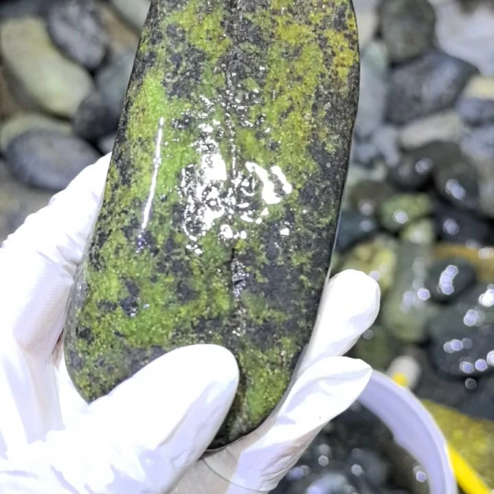 德***物木藏玉药王石原石一个