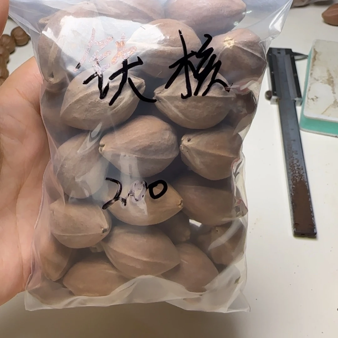【闪购商品】橄榄核手串/手链橄榄核铁核