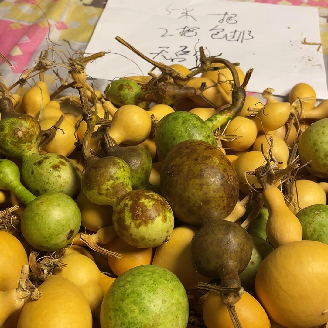 莓****?停咯摸摸摸摸摸摸咯哦哦