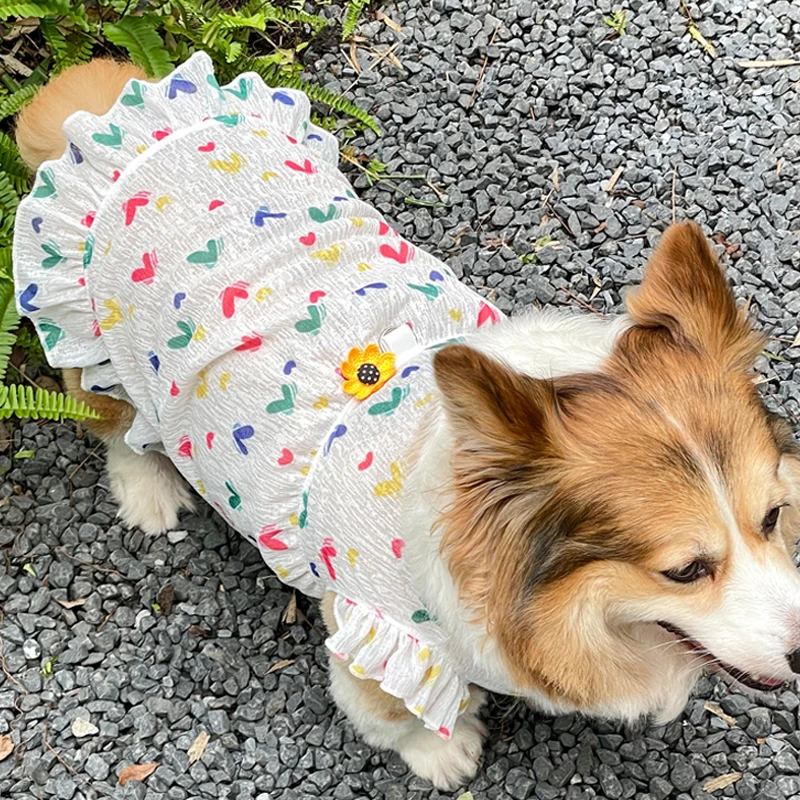 猫咪用品蘑菇泰迪透气连衣裙子宠物可牵引狗狗英短外出夏季爱心