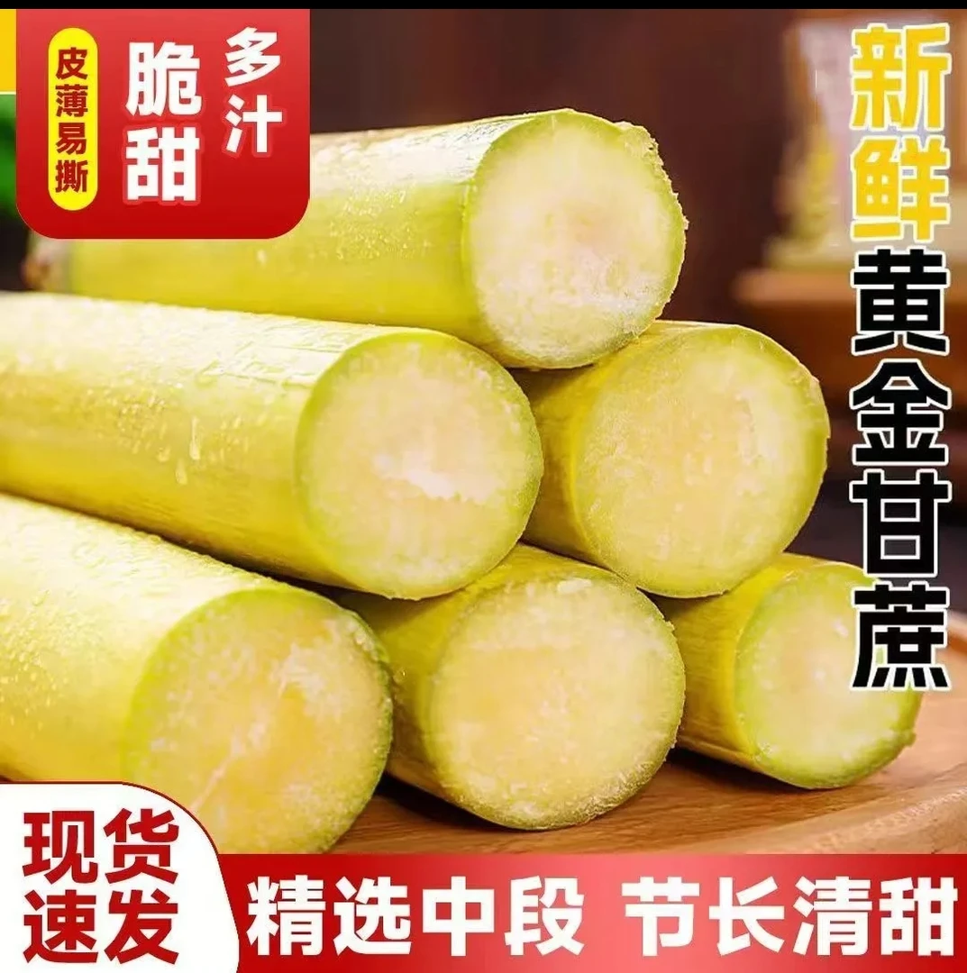 云南应季甘蔗清甜多汁黄皮甘蔗现砍产地直发到手九斤精品