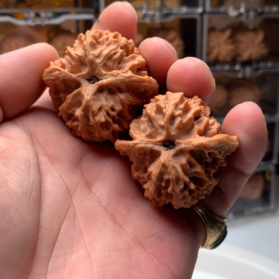 桃核把件石苹果园 666888