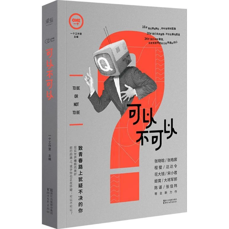 正版 可以不可以 一个工作室主编 9787533945138