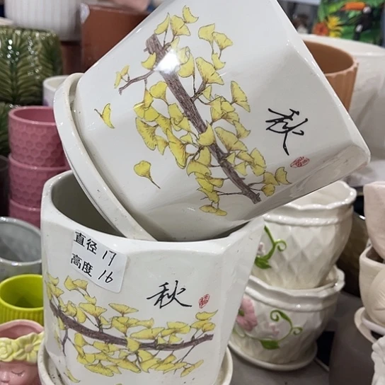 多肉绿植陶瓷花盆9.9包邮，有孔
