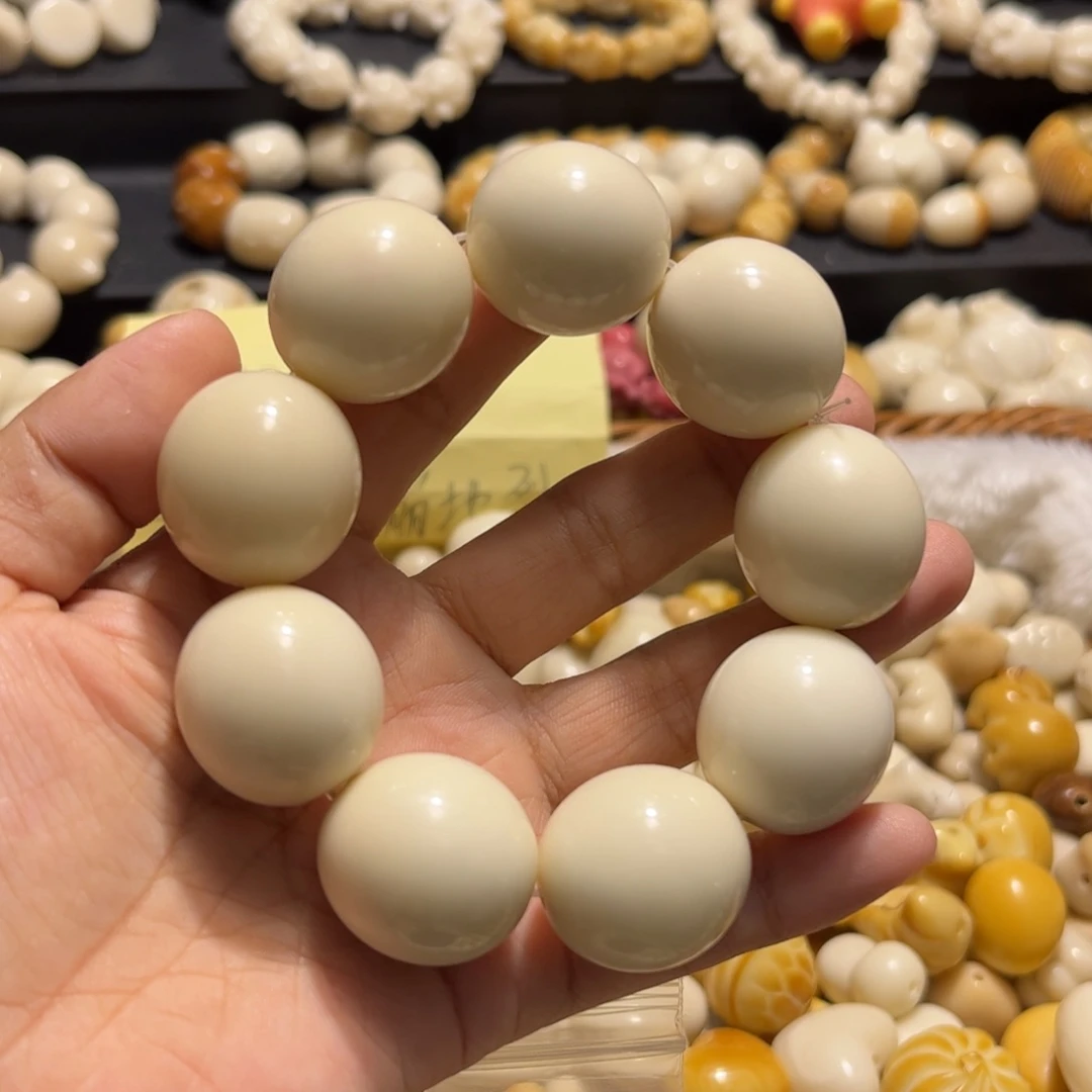 吊坠菩提根/象牙果