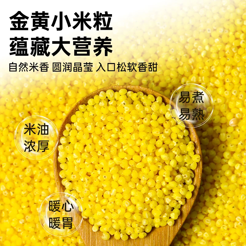 赤峰敖汉黄小米新鲜干净五谷杂粮香甜颗粒煮粥