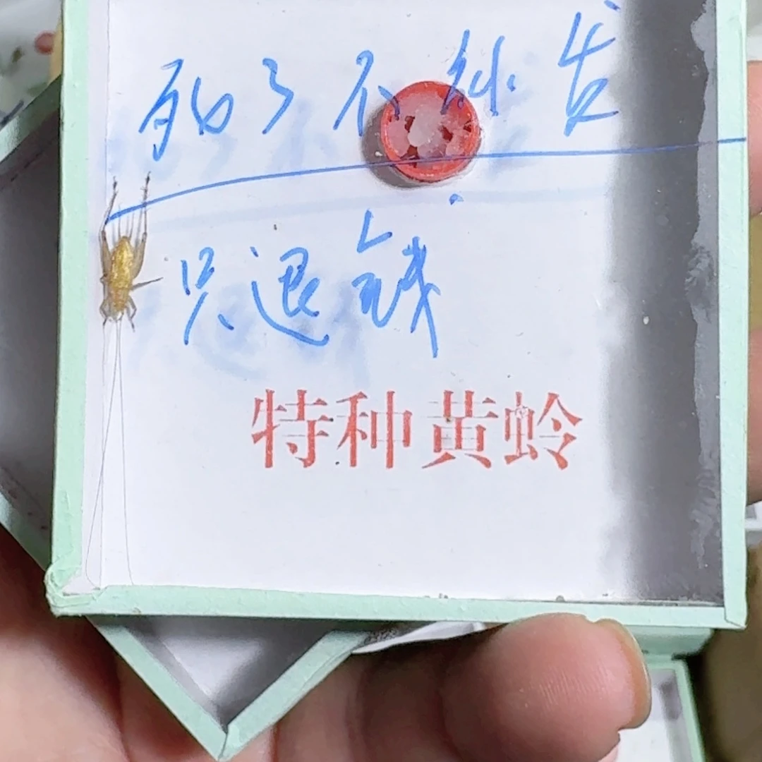 小***弄蟋蟀清清浅浅氢气球