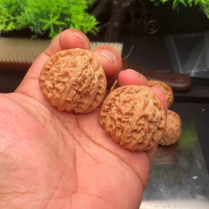 吊坠文玩核桃39白狮子