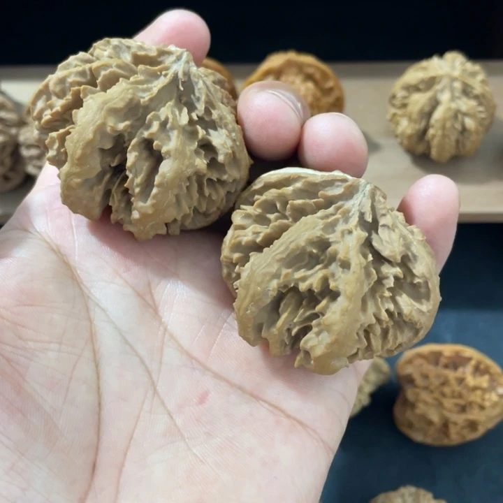 树脂制品芝**茫秦岭老王核桃灯笼