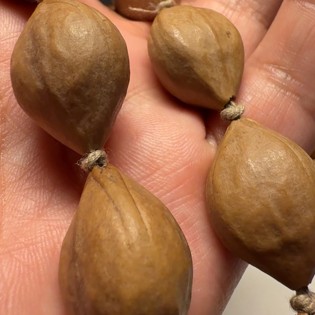 橄榄核手串/手链一物一图