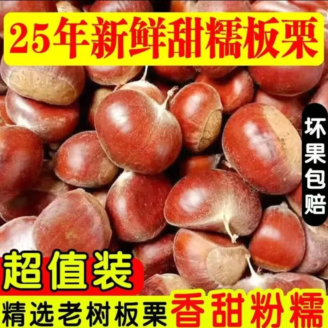 2025正宗丹东高山板栗颗颗非油栗非锥栗生板栗难剥皮